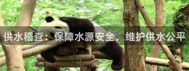 球友会入口