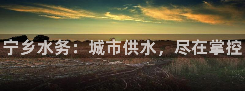 球友会台球俱乐部在哪