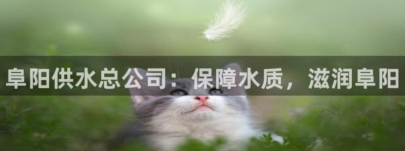 球友会体育