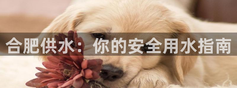 球友会app官网下载苹果