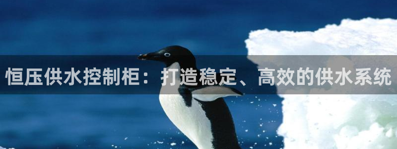球友会赛程