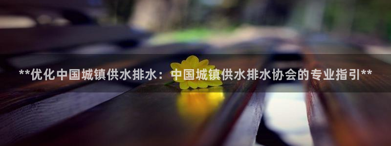 球友会app官方网站