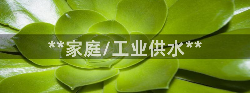 球友会怎么样