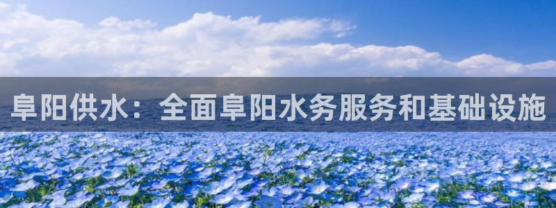 球友会APP