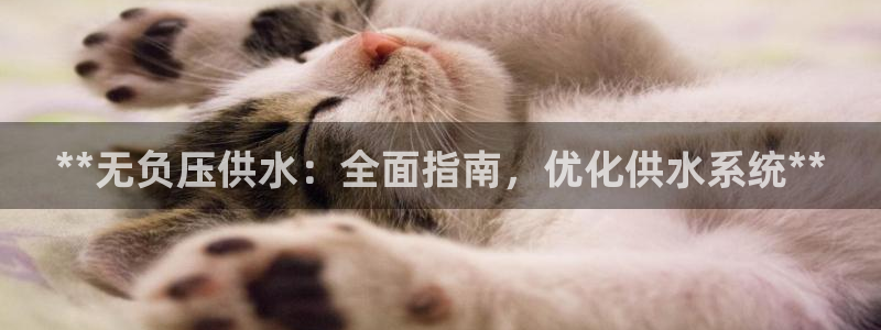 球友会app干啥的