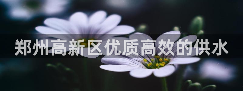 球友会·(QY)官方网站