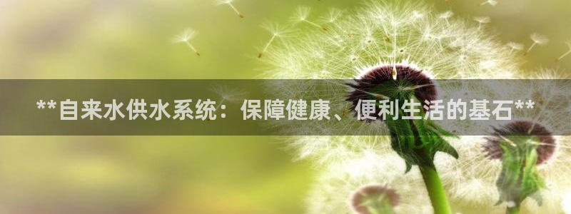 球友会曼联赛事