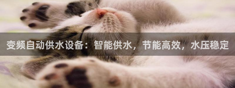 球友会提款审核