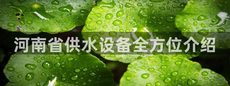 球友会下载