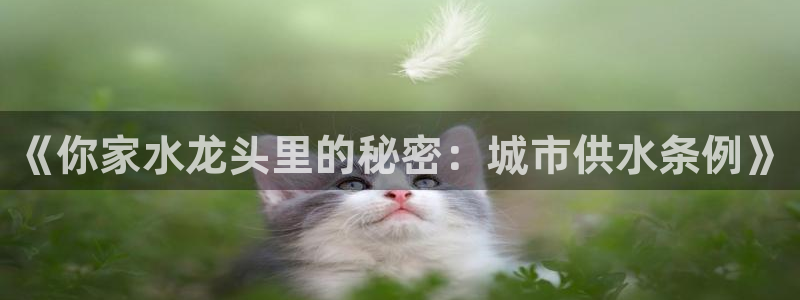 球友会地址