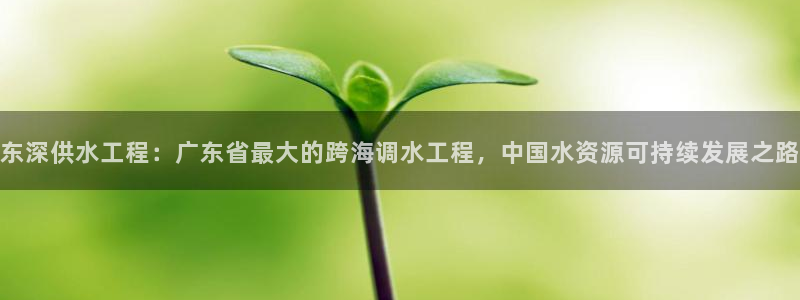 球友会比赛结果查询官网