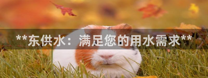 球友会app安全吗可靠吗知乎