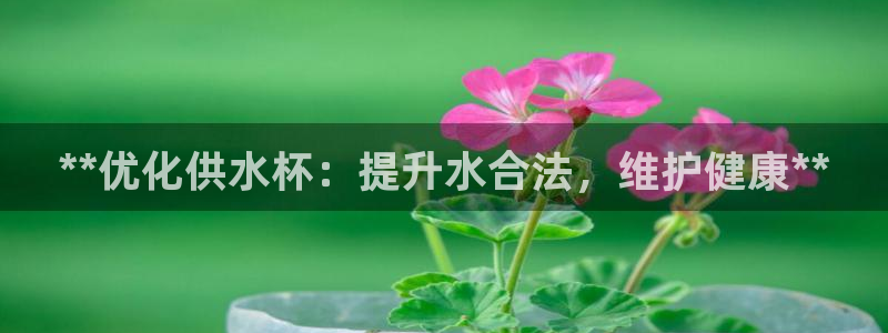 球友会是什么