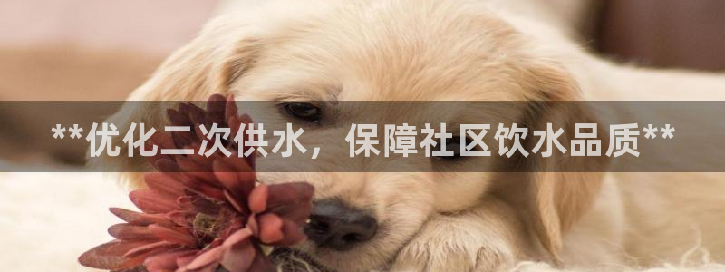 球友会赛程