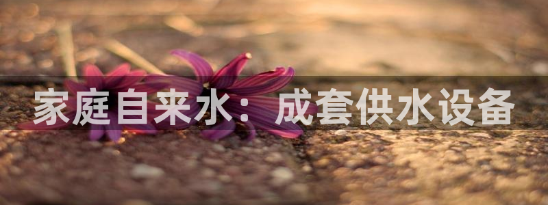 球友会qy怎么进不去