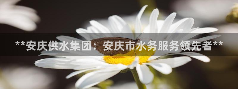 球友会app