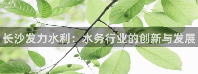 球友会官方网站入口