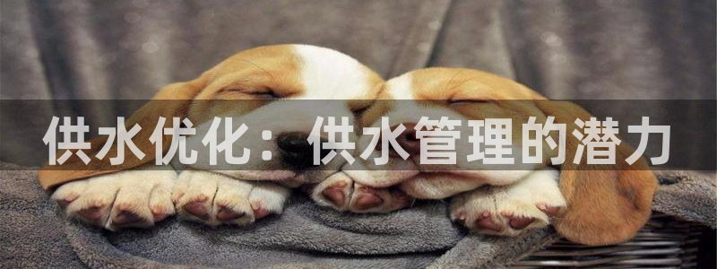 球友会下载