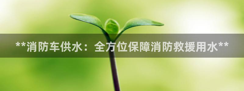 球友会台球俱乐部官网