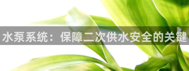 球友会官方网站