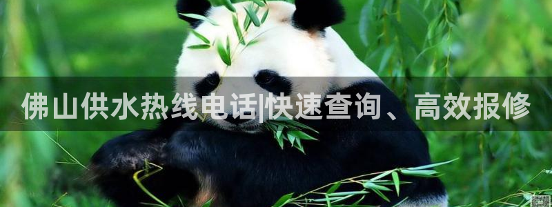 球友会app干啥的啊