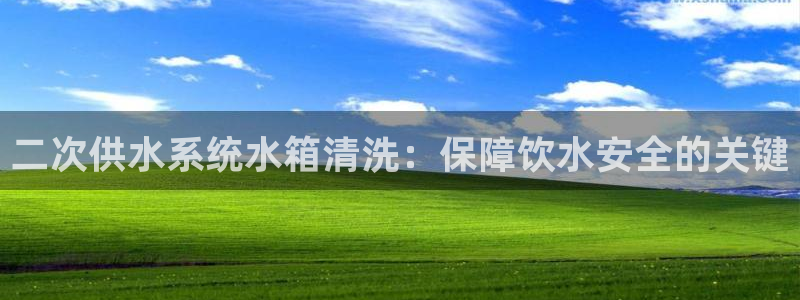 球友会联赛