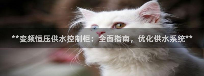 球友会在线登录账号吗安全吗