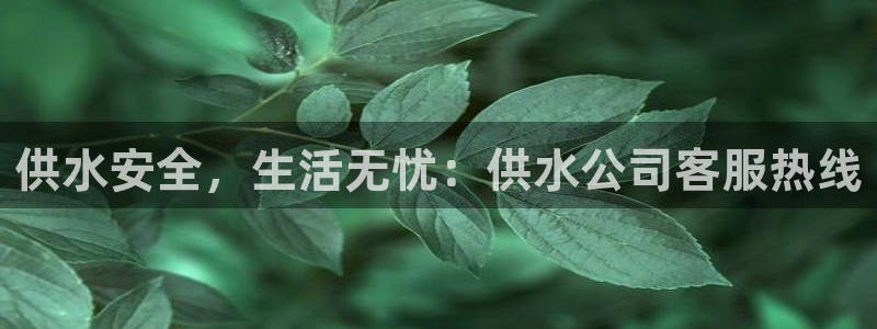 球友会娱乐
