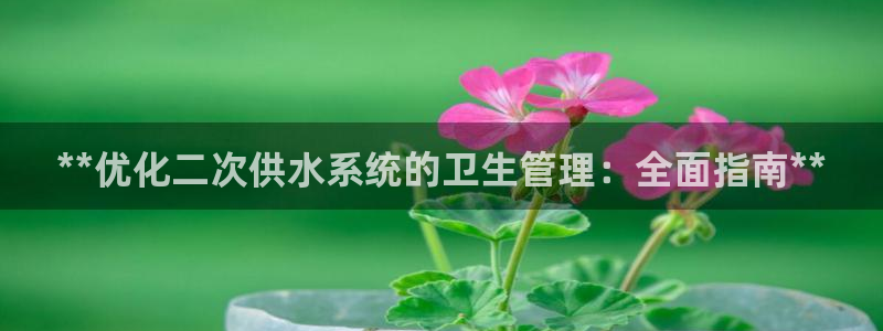 qy球友会体育官下载