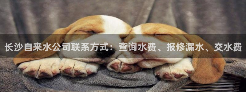 球友会友谊赛7月28日曼联阿森纳