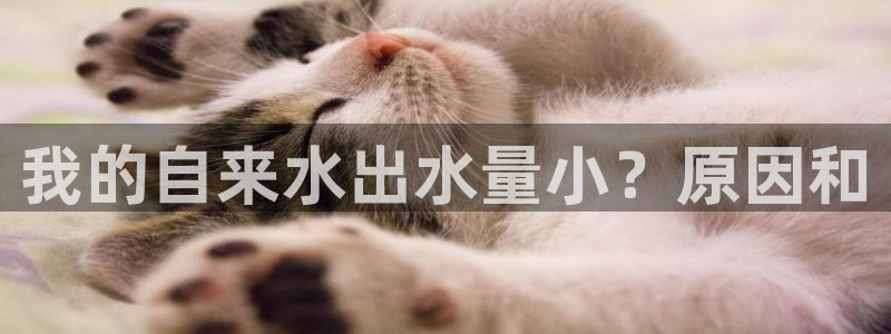 球友会体育app下载安卓手机