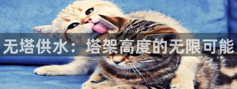 球友会app下载QY