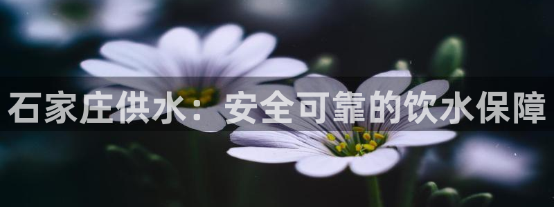 球友会qyh88bet