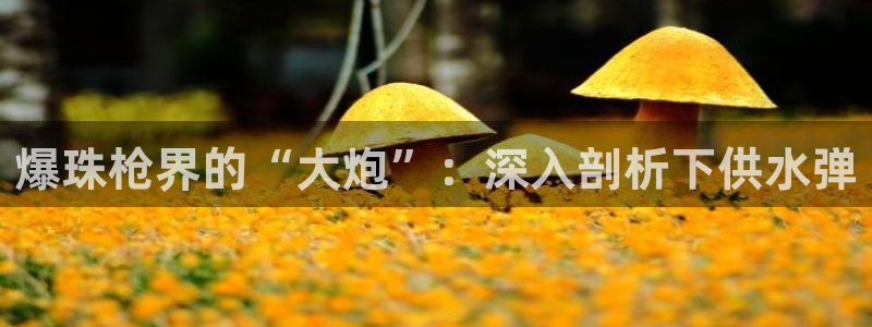 球友会app干啥的软件