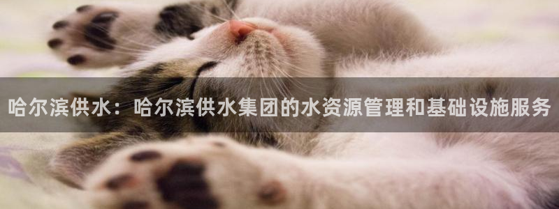 球友会台球俱乐部在哪