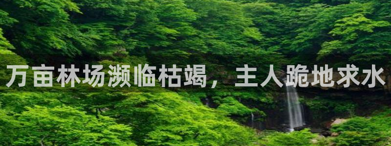 球友会官网入口在哪里