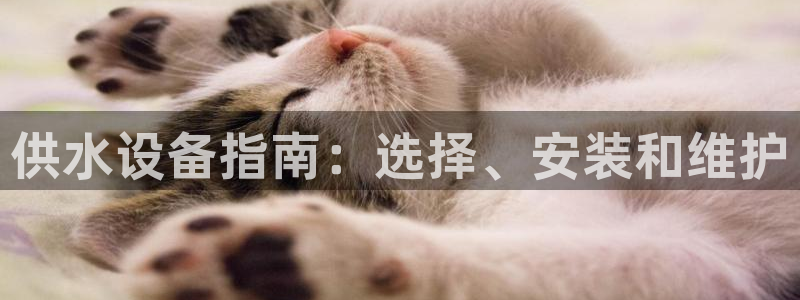 球友会能提现吗