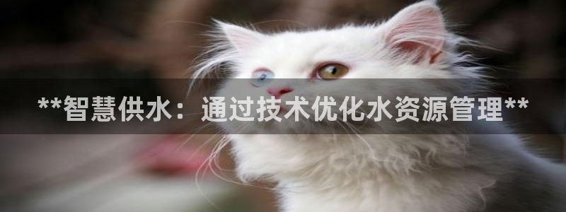 球友会网站多少