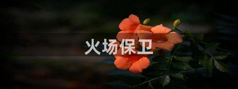 球友会软件