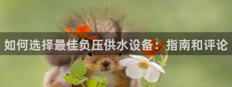qy球友会体育官方平台