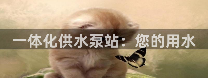 球友会体育app官方版下载安装