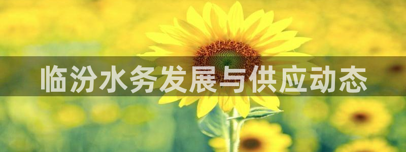 球友会兑换码