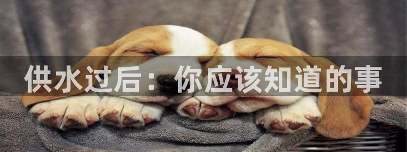 球友会app网址