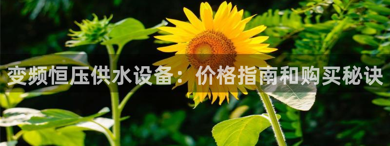 球友会聚餐发言稿简短