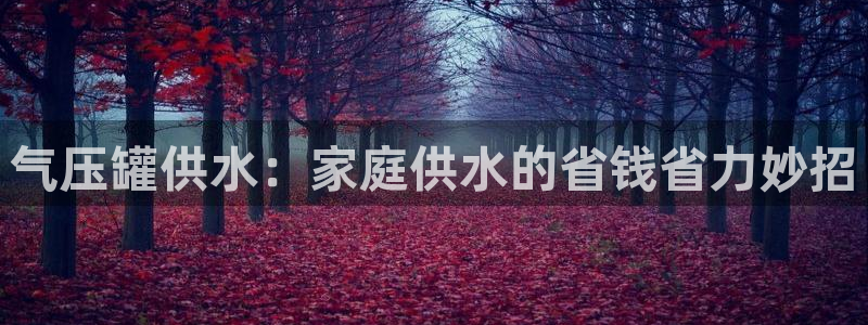 关键词