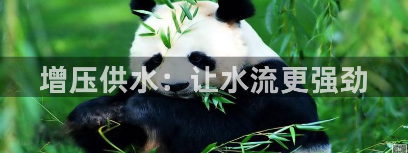球友会app官网下载