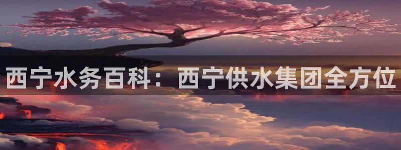 qy球友会体育怎么样