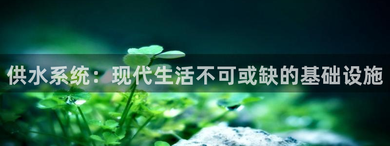 球友会apy