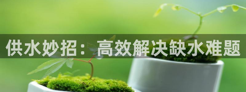 球友会友谊赛赛程