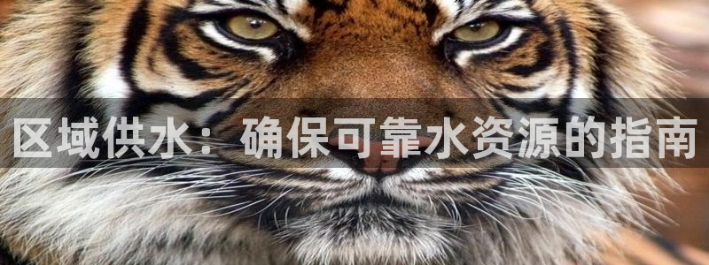 球友会友谊赛7月28日曼联阿森纳